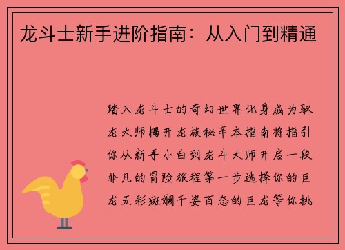 龙斗士新手进阶指南：从入门到精通